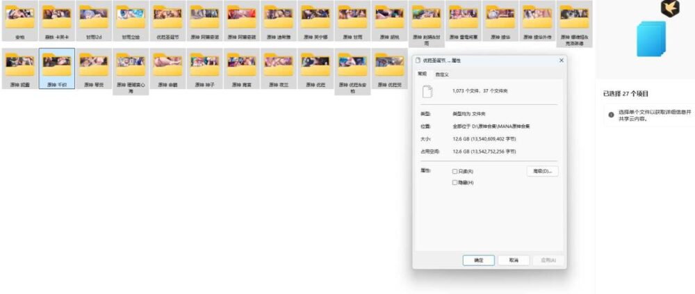 屏幕截图 2024-11-01 155103