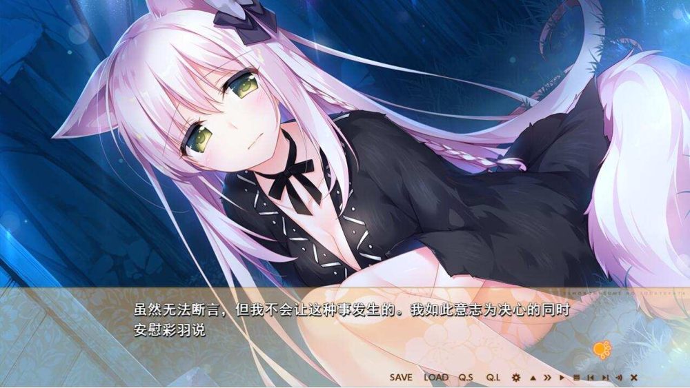兽娘育成方案 PC+安卓模拟汉化硬盘版 (6)