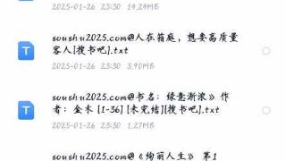 几本正经或不正经的小说