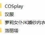 本地的一些视频，下载的，已分类完毕