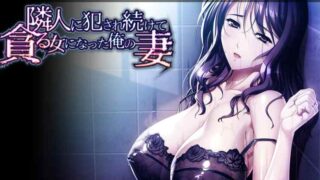 【游戏/汉化】隣人に壊されていく俺の妻 本体+番外【5.41G】