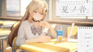【3D/PC/生肉】夏ノ音。ギャルと、オタクと、秘密の放課後。ver1.03 体验版