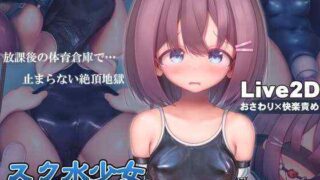[SLG/官中/PC] 学校泳装少女快乐拷问模拟游戏【放学后的体育仓库的无尽高潮地狱［百度/UC/1.3G］