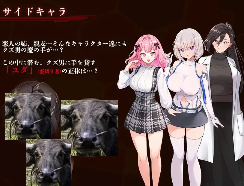 【绿帽RPG/汉化】掠夺少女蕾拉 ～为了世界献上此身的供祭契约 机翻版