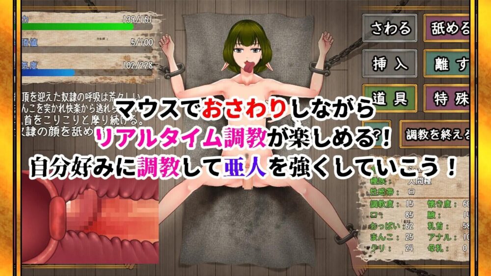 1-53f35ca33a28b7346